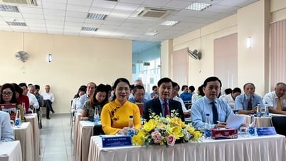 Tiếp tục vai trò cầu nối, đại diện cho tiếng nói của kiều bào