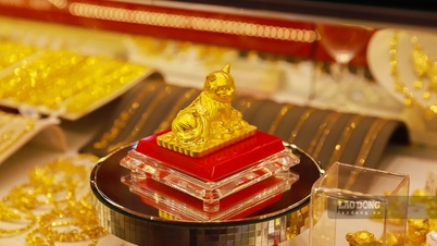 ធ្លាក់​ដោយ​សេរី ការ​ខាត​បង់​យ៉ាង​ខ្លាំង