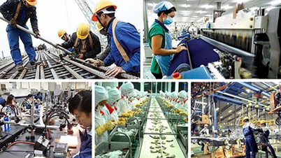Khẩn trương nghiên cứu, xem xét, xử lý các kiến nghị của doanh nghiệp