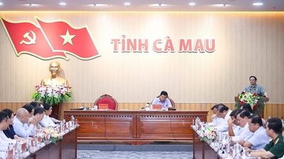 Cà Mau phát triển năng lượng tái tạo, mở rộng Cụm Khí - Điện