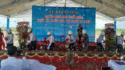 Cà Mau điều chỉnh thời hạn miễn tiền thuê đất của Công ty CP Free Land