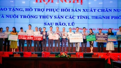 ក្រុមហ៊ុន CP Group បរិច្ចាគប្រាក់ចំនួន 5 ពាន់លានដុងដល់ប្រជាជនដែលរងផលប៉ះពាល់ដោយព្យុះនិងទឹកជំនន់ Yagi