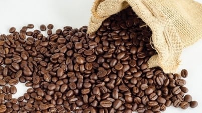 Giá cà phê đồng loạt đỏ sàn, đơn đặt hàng mới giảm mạnh; Thận trọng với quy định mới của EU