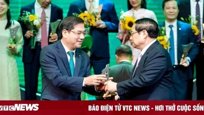 BIDV reconocida como Marca Nacional