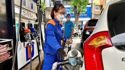កើនឡើងជាង 13% នៅឆមាសទីមួយនៃឆ្នាំ 2024