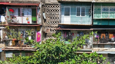 Hải Phòng xóa bỏ 'chuồng cọp'