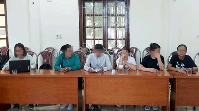 Quận Đồ Sơn làm rõ pháp lý vụ tự ý xét nghiệm máu học sinh