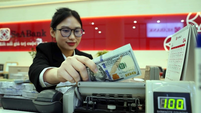 USD/VND exchange rate fluctuates around 3% annually