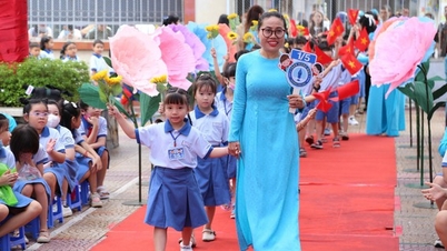 ទីក្រុងហូជីមិញអំពាវនាវរកទុនវិនិយោគសាងសង់សាលារៀនចំនួន១១០