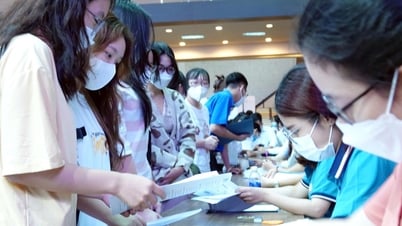 学生数の多い専攻を選ぶべきでしょうか？