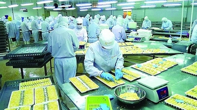 แนวโน้มการส่งออกอาหารทะเลในช่วงเดือนสุดท้ายของปี