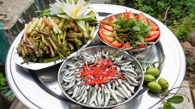 'វង្វេង' នៅក្នុងឋានសួគ៌ធ្វើម្ហូបនៃរដូវទឹកជំនន់