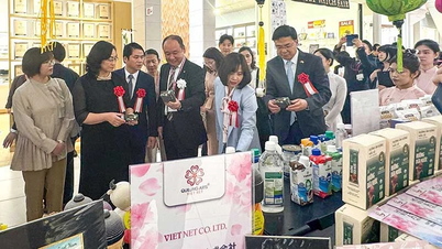 Attracting FDI before a historic turning point