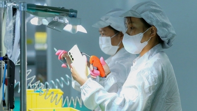 Workers' incomes continue to rise, despite difficult times