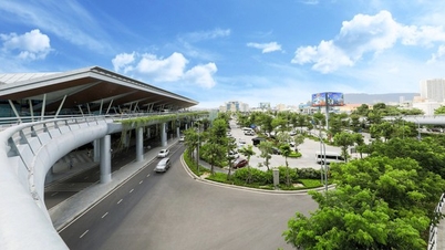 ឆ្កែរត់ចូលអាកាសយានដ្ឋាន Da Nang ជើងហោះហើរបានចុះចតយឺត 19 នាទី។