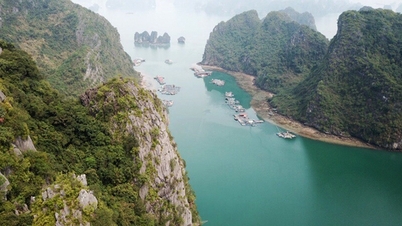 Làng chài nổi trên biển của Việt Nam được tạp chí Mỹ vinh danh