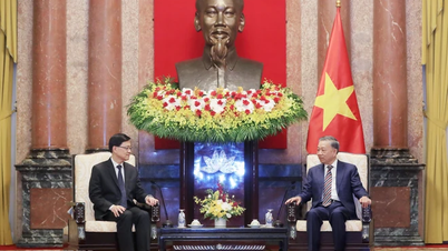 Chủ tịch nước Tô Lâm tiếp Trưởng Khu hành chính đặc biệt Hong Kong
