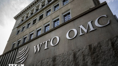 18 ឆ្នាំរបស់វៀតណាមចូលរួម WTO: ដំណើរនៃសមាហរណកម្ម និងអភិវឌ្ឍន៍