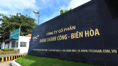 Bà Đặng Huỳnh Ức My làm Chủ tịch HĐQT Công ty CP Thành Thành Công