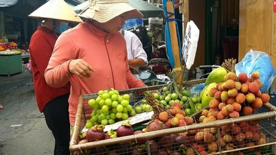 ផ្លែ​ល្មុត​ទុំ​ដំបូង​កាត់​តម្លៃ​ពាក់​កណ្ដាល