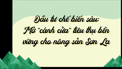 វិនិយោគលើការកែច្នៃស៊ីជម្រៅ៖ បើក “ទ្វារ” ដល់ការប្រើប្រាស់ប្រកបដោយនិរន្តរភាពសម្រាប់ផលិតផលកសិកម្ម Son La
