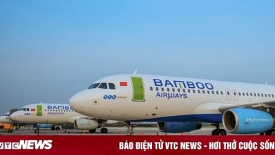 Prime Minister directs ministries and branches to remove difficulties for Bamboo Airways
