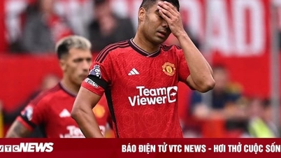 Man Utd lost miserably to Brighton
