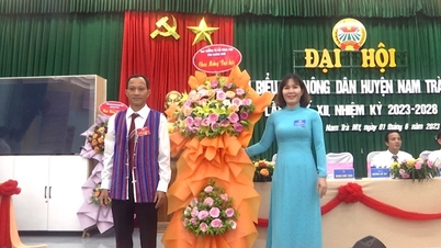 Hội Nông dân huyện Nam Trà My xây dựng 45 mô hình điểm | BÁO QUẢNG NAM ONLINE