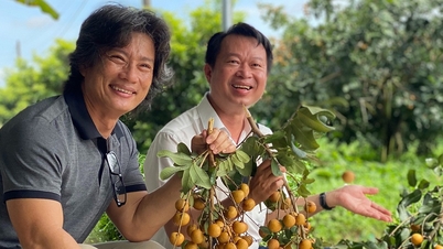 Tỷ phú miền Tây kể chuyện bén duyên, làm giàu với trái thanh nhãn