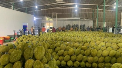 Xuất khẩu rau quả hướng tới mục tiêu 10 tỷ USD