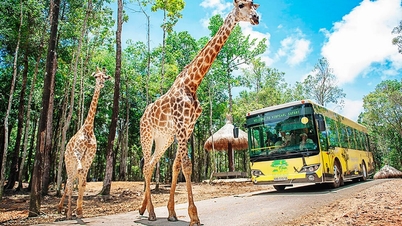 Parcs d'attractions d'été que tous les enfants adorent
