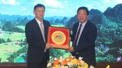 Bach Sac - Cao Bang ចាំបាច់ត្រូវជំរុញកិច្ចសហប្រតិបត្តិការបន្ថែមទៀត