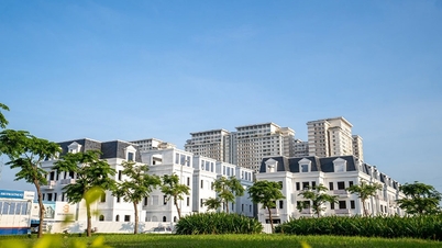 Tậu nhà sang - rinh xế xịn khi mua biệt thự Solasta Mansion
