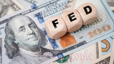 Tỷ giá USD, EUR, AUD, CAD, Yên Nhật, Bảng Anh...FED có thể bỏ qua tăng lãi suất, đồng bạc xanh giảm mạnh