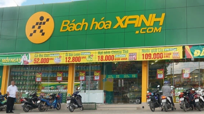 Nhiều tiền như đại gia Thế Giới Di Động: Gửi 22.065 tỷ đồng vào ngân hàng