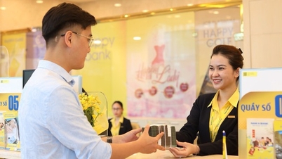 នៅត្រីមាសទីពីរនៃឆ្នាំ 2024 គោលដៅអាជីវកម្មជាច្រើនរបស់ធនាគារណាមអេ ហៀបនឹងឈានដល់ទីបញ្ចប់។