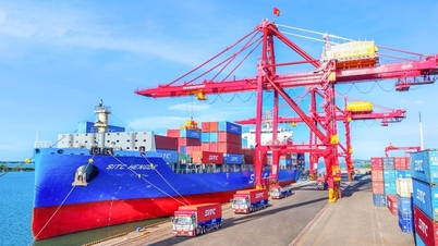 Chu Lai Port promotes its role as a key logistics player in the Central region