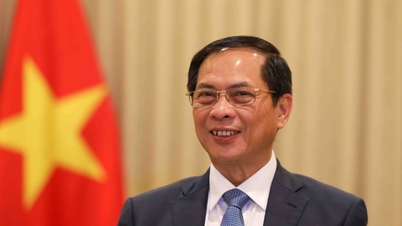 Mở ra không gian phát triển mới cho quan hệ của Việt Nam và ba nước Trung Đông