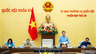 ធានាគុណភាពនៃសេចក្តីព្រាងច្បាប់ និងសេចក្តីសម្រេចដាក់ជូនរដ្ឋសភា ដើម្បីអនុម័ត