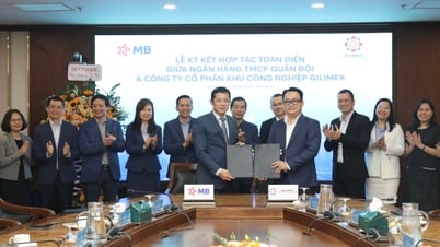 MB và Gilimex ký hợp tác chiến lược