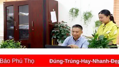 សហជីពមូលដ្ឋានរបស់កាសែត Phu Tho រៀបចំការប្រលង “ជ្រុងធ្វើការបៃតងស្អាត”