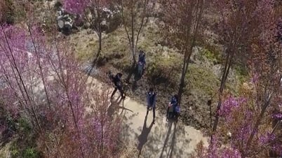 男性が旧正月のたびに家を掃除する場所のユニークな習慣