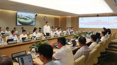 PetroVietnam និង Viettel ពង្រឹងកិច្ចសហប្រតិបត្តិការ