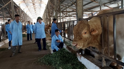Dangers from the greenhouse effect in livestock farming