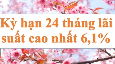 24 tháng cao nhất 6,1%