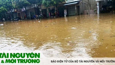 Thiệt hại hơn 2 tỷ đồng do mưa lũ