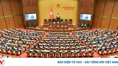 National Assembly deputies expect salary reform to soon come into effect