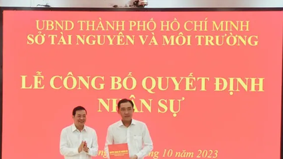 Chi nhánh Văn phòng Đăng ký đất đai Nhà Bè có giám đốc mới