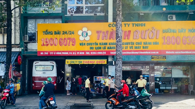 ការបំពានចំនួន 9 របស់ក្រុមហ៊ុន Thanh Buoi ត្រូវបានរកឃើញ ករណីនេះនឹងត្រូវផ្ទេរទៅប៉ូលីសទីក្រុងហូជីមិញ