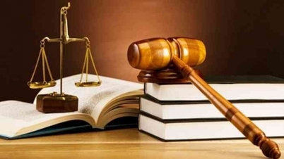 Supreme People's Court announces 07 new precedents